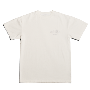 Varsity Logo T-shirt in Moonbeam. 2X